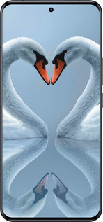 Силиконовый чехол Лебеди для Xiaomi 14 Ultra - 6007u-3647 изображение 