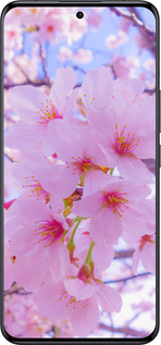 Силіконовий чехол Сакура для Xiaomi 14 Ultra - 6029u-3647 изображение 