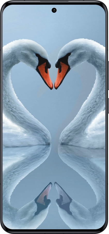Силиконовый чехол Лебеди для Xiaomi 14 Ultra - 6007u-3647 изображение 