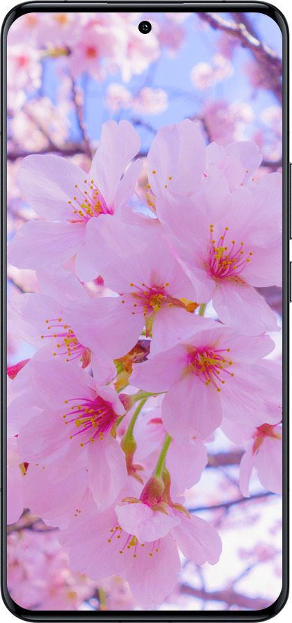 Силіконовий чехол Сакура для Xiaomi 14 Ultra - 6029u-3647 изображение 