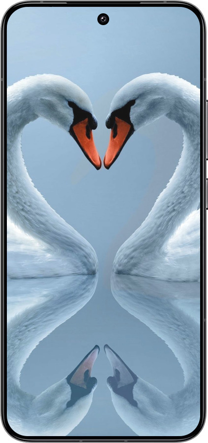 Силіконовий чехол Лебеді для Xiaomi 14 - 6007u-3408 изображение 