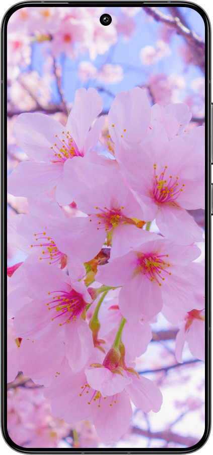 Силиконовый чехол Сакура для Xiaomi 14 - 6029u-3408 изображение 