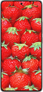 TPU чехол Клубника для Xiaomi 14T 5G - 6020b-3773 изображение 