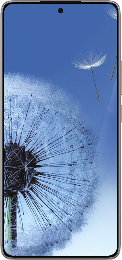 TPU чехол Одуванчик для Xiaomi 14T 5G - 6005b-3773 изображение 