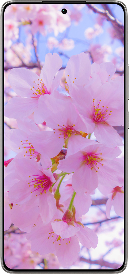 TPU чехол Сакура для Xiaomi 14T 5G - 6029b-3773 изображение 