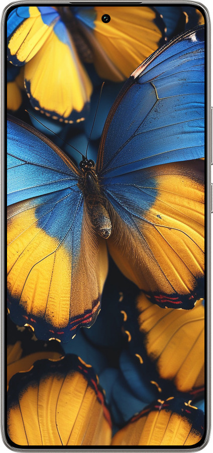 TPU чехол Желто-голубые бабочки для Xiaomi 14T 5G - 6046b-3773 изображение 