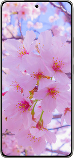 Силиконовый чехол Сакура для Xiaomi 14T 5G - 6029u-3773 изображение 