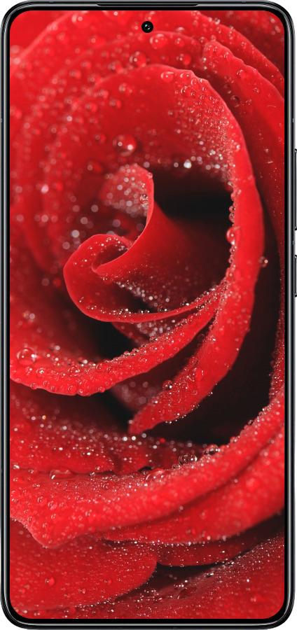 TPU чехол Красная роза для Xiaomi 14T Pro - 529b-3806 изображение 
