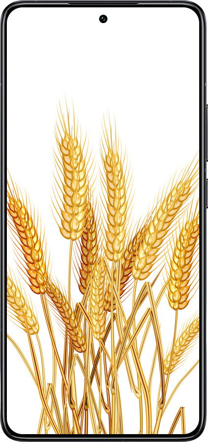 TPU чехол Колоски пшеници для Xiaomi 14T Pro - 5866b-3806 изображение 