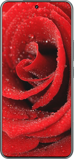 TPU чехол Червона троянда для Xiaomi 15 Pro - 529b-3879 изображение 