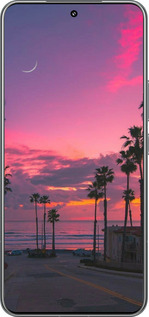 TPU чехол Пальми для Xiaomi 15 Pro - 5873b-3879 изображение 