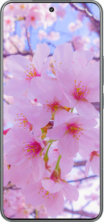 TPU чехол Сакура для Xiaomi 15 Pro - 6029b-3879 изображение 