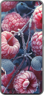 TPU чехол Морозные ягоды для Xiaomi 15 Pro - 6033b-3879 изображение 