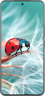 TPU чехол Божья коровка для Xiaomi 15 Pro - 6049b-3879 изображение 