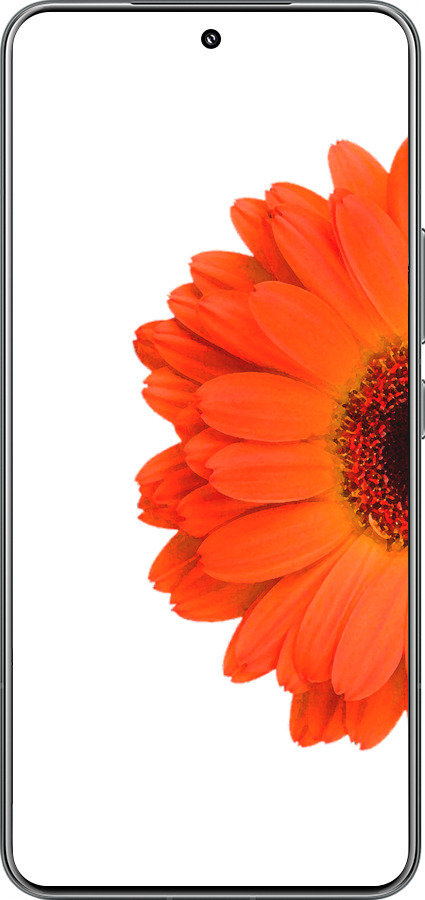 TPU чехол Гербера 1 для Xiaomi 15 Pro - 4534b-3879 изображение 