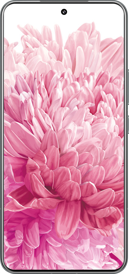 TPU чехол Хризантема для Xiaomi 15 Pro - 4666b-3879 изображение 