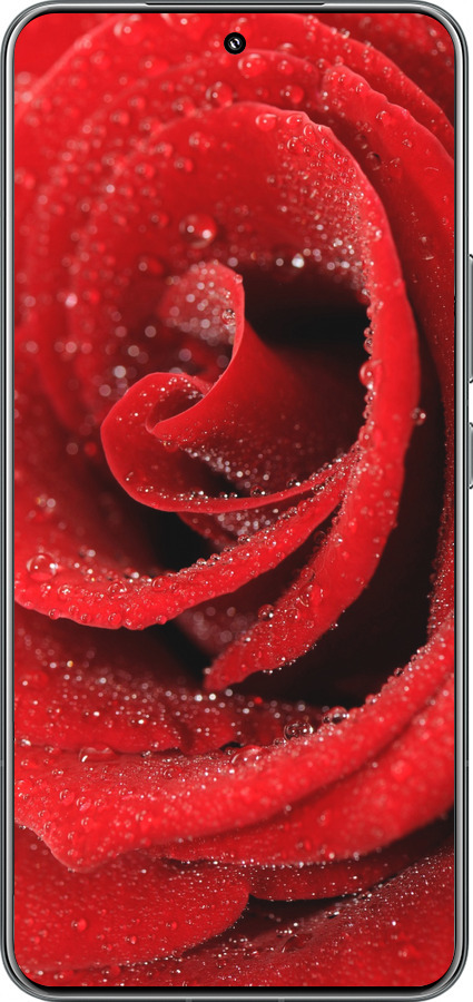 TPU чехол Червона троянда для Xiaomi 15 Pro - 529b-3879 изображение 