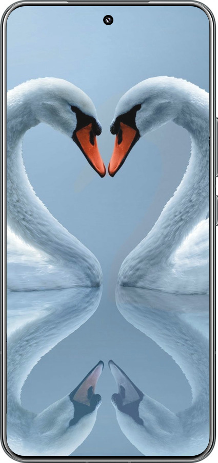 TPU чехол Лебеди для Xiaomi 15 Pro - 6007b-3879 изображение 