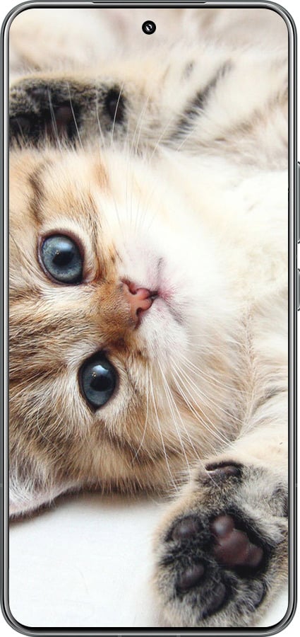 TPU чехол Котик для Xiaomi 15 Pro - 6024b-3879 изображение 