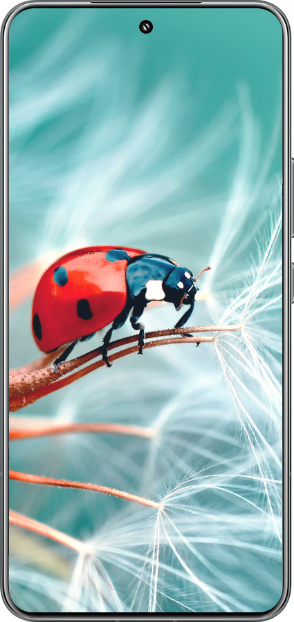 TPU чехол Божья коровка для Xiaomi 15 Pro - 6049b-3879 изображение 