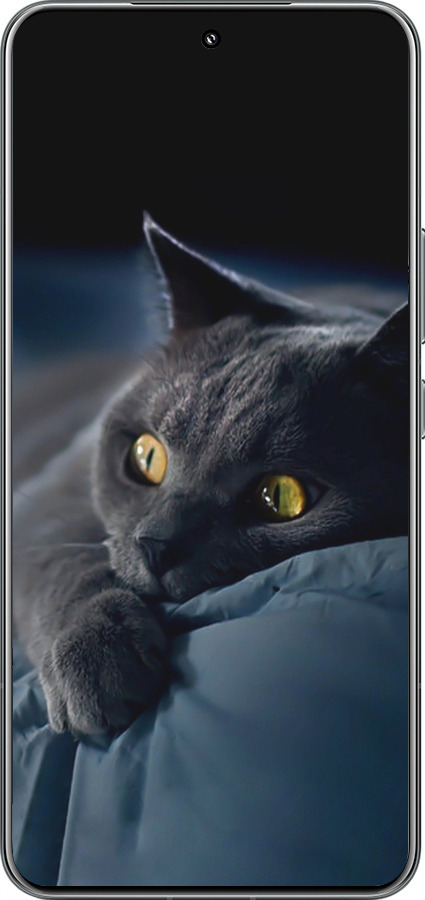 Силиконовый чехол Дымчатый кот для Xiaomi 15 Pro - 825u-3879 изображение 