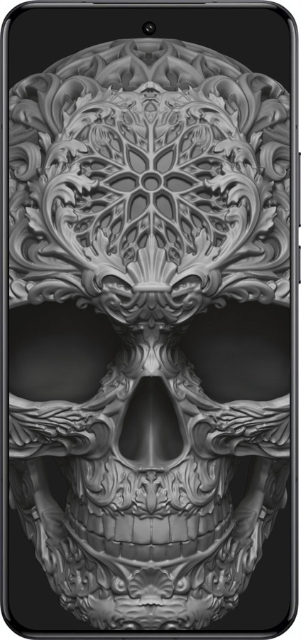 Силиконовый чехол skull-ornament для Xiaomi 15 Ultra - 4101u-3967 изображение 