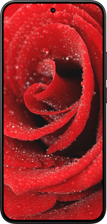 Силіконовий чехол Червона троянда для Xiaomi 15T 5G - 529u-4100 изображение 