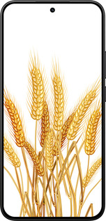 Силиконовый чехол Колоски пшеници для Xiaomi 15T 5G - 5866u-4100 изображение 