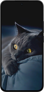 Силиконовый чехол Дымчатый кот для Xiaomi 15T 5G - 825u-4100 изображение 
