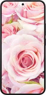 Силиконовый чехол Розы для Xiaomi 15T Pro 5G - 525u-4097 изображение 