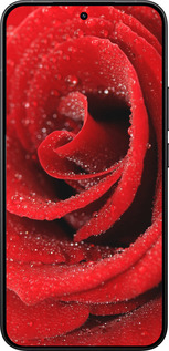 Силіконовий чехол Червона троянда для Xiaomi 15T Pro 5G - 529u-4097 изображение 