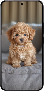 Силіконовий чехол Mini-maltipoo для Xiaomi 15T Pro 5G - 6158u-4097 изображение 