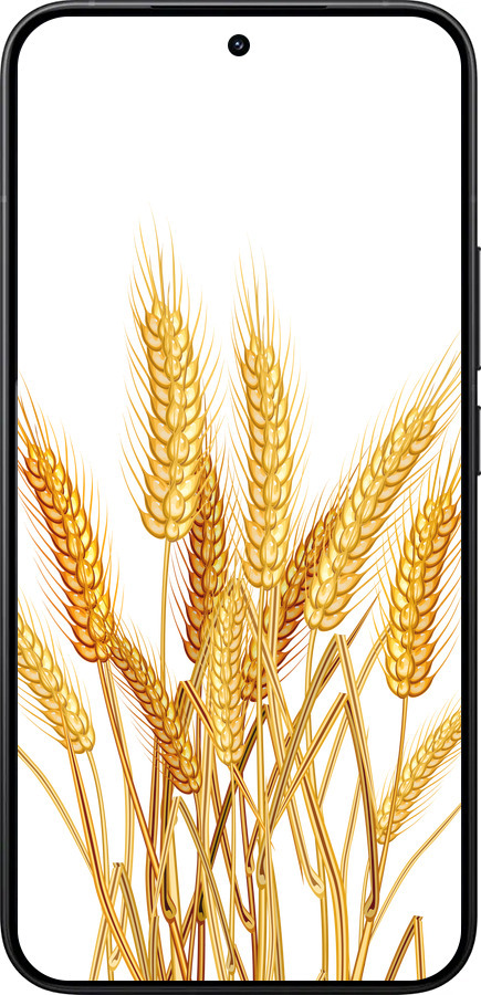 Силиконовый чехол Колоски пшеници для Xiaomi 15T Pro 5G - 5866u-4097 изображение 