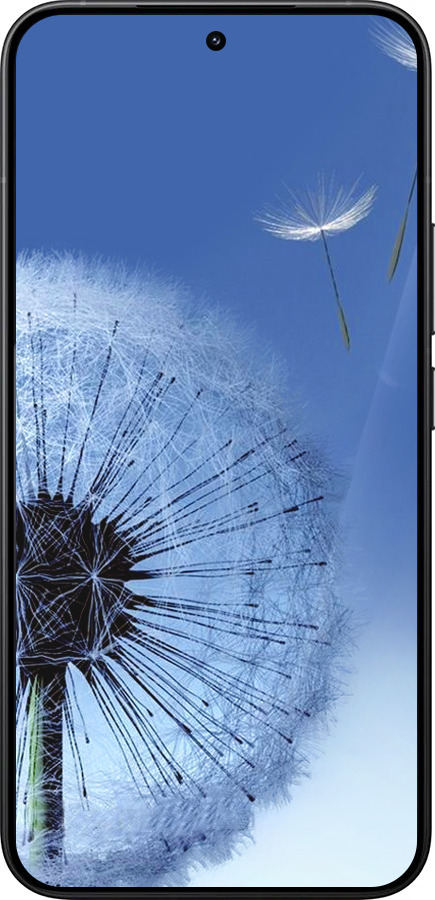 Силиконовый чехол Одуванчик для Xiaomi 15T Pro 5G - 6005u-4097 изображение 