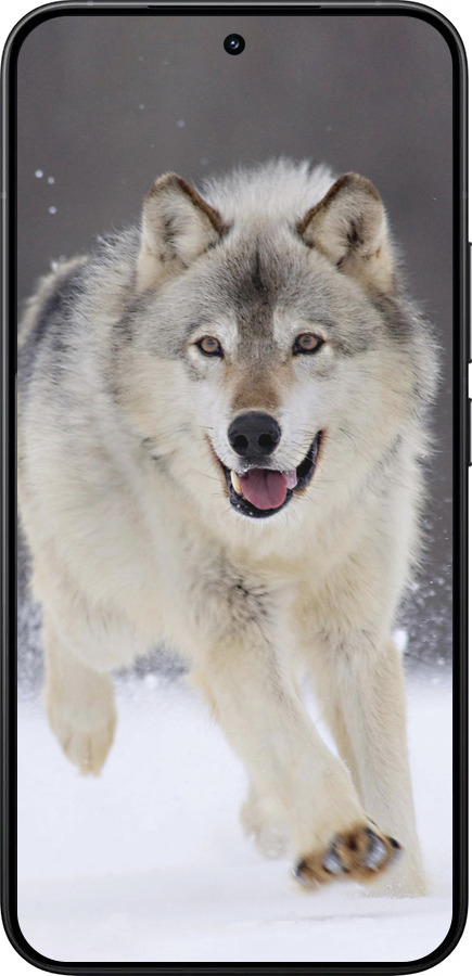 Силіконовий чехол Вовк, що біжить для Xiaomi 15T Pro 5G - 826u-4097 изображение 