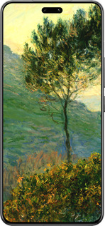 Силиконовый чехол Клод Моне для Xiaomi Civi 4 Pro - 1193u-3682 изображение 