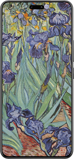 Силиконовый чехол Винсент Ван Гог. Ирисы для Xiaomi Civi 4 Pro - 161u-3682 изображение 