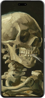 Силиконовый чехол Винсент Ван Гог. Череп для Xiaomi Civi 4 Pro - 5544u-3682 изображение 