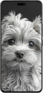 Силиконовый чехол Мальтипу на чорном фоне для Xiaomi Civi 4 Pro - 6156u-3682 изображение 