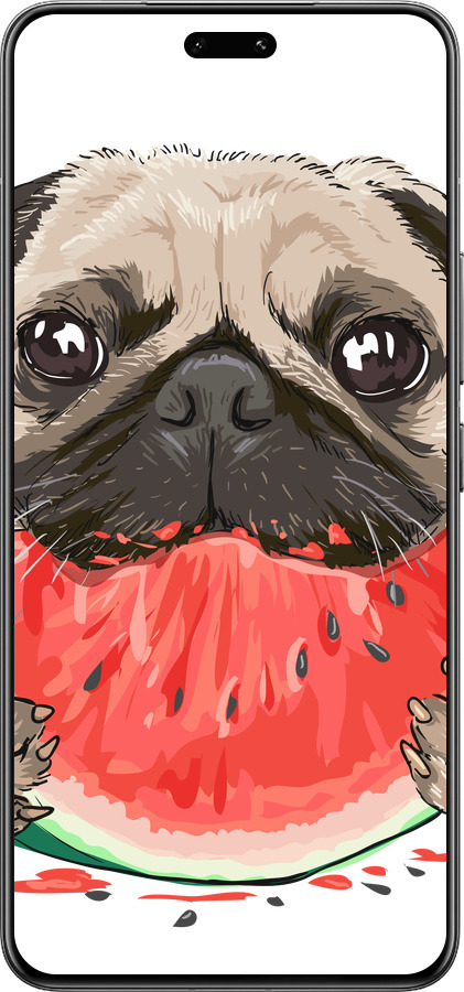 Силиконовый чехол Мопс и арбуз для Xiaomi Civi 4 Pro - 4665u-3682 изображение 