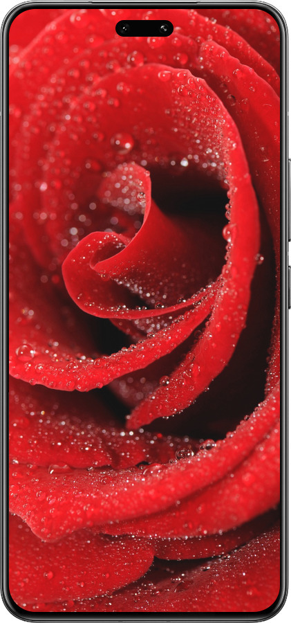 Силиконовый чехол Красная роза для Xiaomi Civi 4 Pro - 529u-3682 изображение 