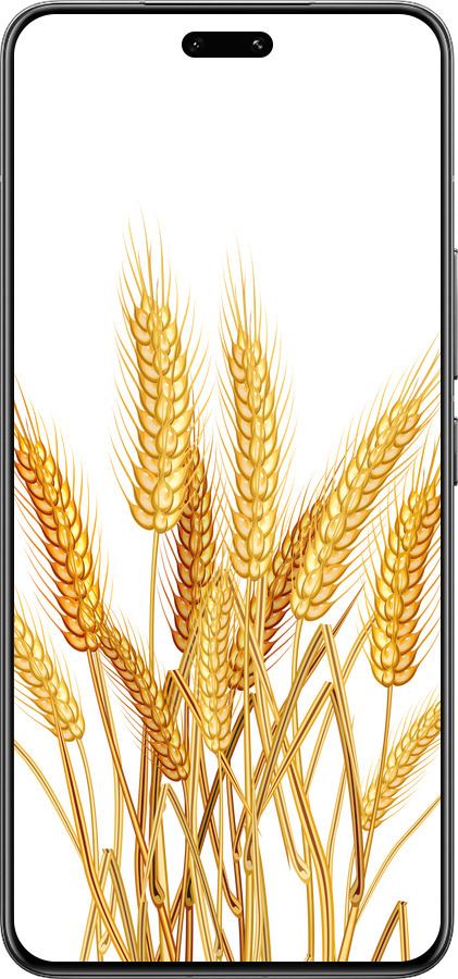 Силиконовый чехол Колоски пшеници для Xiaomi Civi 4 Pro - 5866u-3682 изображение 