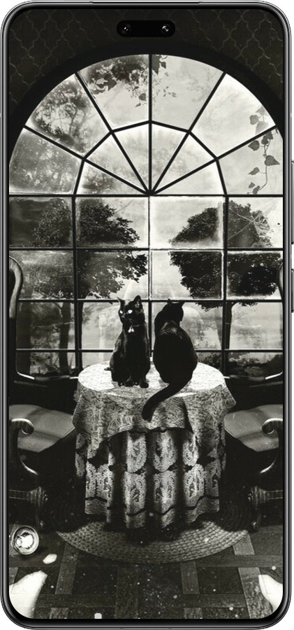 Силиконовый чехол Череп и коты для Xiaomi Civi 4 Pro - 6432u-3682 изображение 