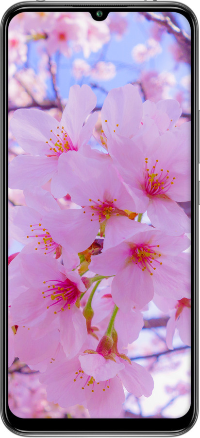 TPU чехол Сакура для Xiaomi Mi 10 Lite - 6029b-1924 изображение 