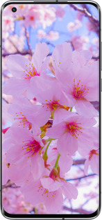 2D пластиковый чехол Сакура для Xiaomi Mi 10 Ultra - 6029t-2064 изображение 