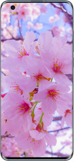TPU чехол Сакура для Xiaomi Mi 10 Pro - 6029b-1870 изображение 