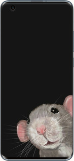 2D пластиковый чехол The Peeking Rat для Xiaomi Mi 10 - 6442t-1860 изображение 
