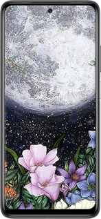 TPU чехол Північ у саду для Xiaomi Mi 10T Lite - 6259b-2097 изображение 