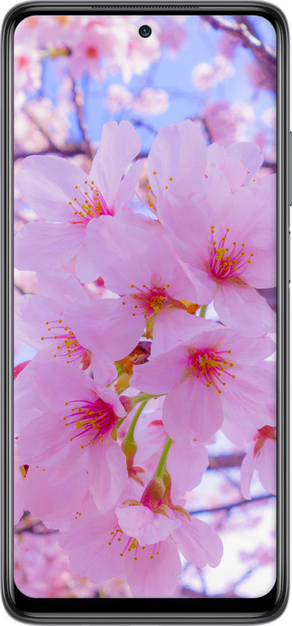 TPU чехол Сакура для Xiaomi Mi 10T Lite - 6029b-2097 изображение 