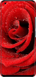 3D пластиковый матовый чехол Красная роза для Xiaomi Mi 11 Ultra - 529m-2295 изображение 